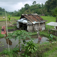 Photo de Bali - Baturiti